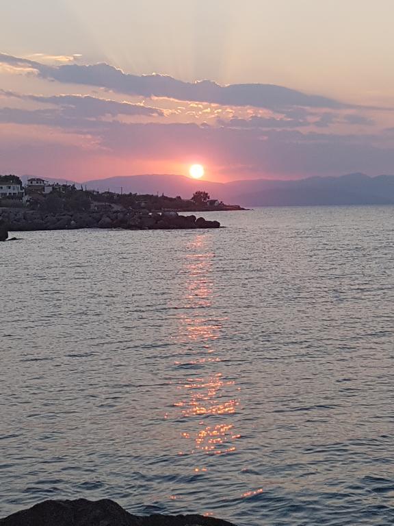 Pansion Marousa Méthana المظهر الخارجي الصورة